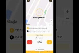 Ride Hailing App – Hailz, USA